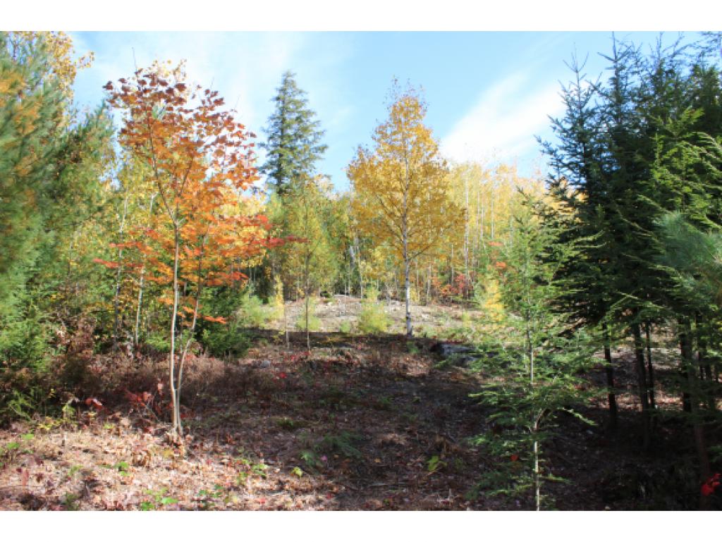 Lot E54 Stanton Farm Road Bartlett, NH 03812 - Photo 5 of 19