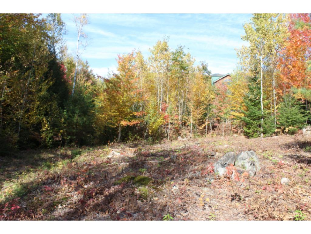 Lot E54 Stanton Farm Road Bartlett, NH 03812 - Photo 6 of 19