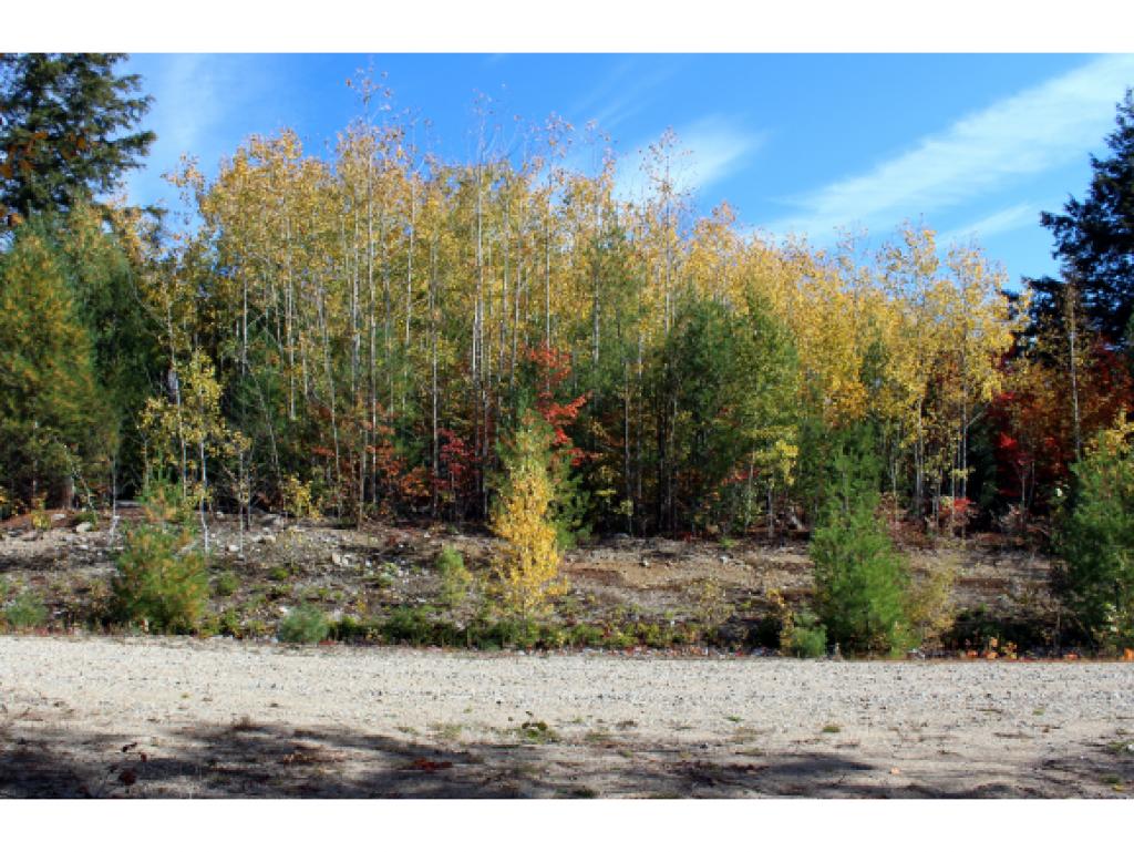 Lot E54 Stanton Farm Road Bartlett, NH 03812 - Photo 7 of 19