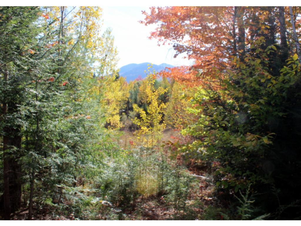 Lot E54 Stanton Farm Road Bartlett, NH 03812 - Photo 8 of 19