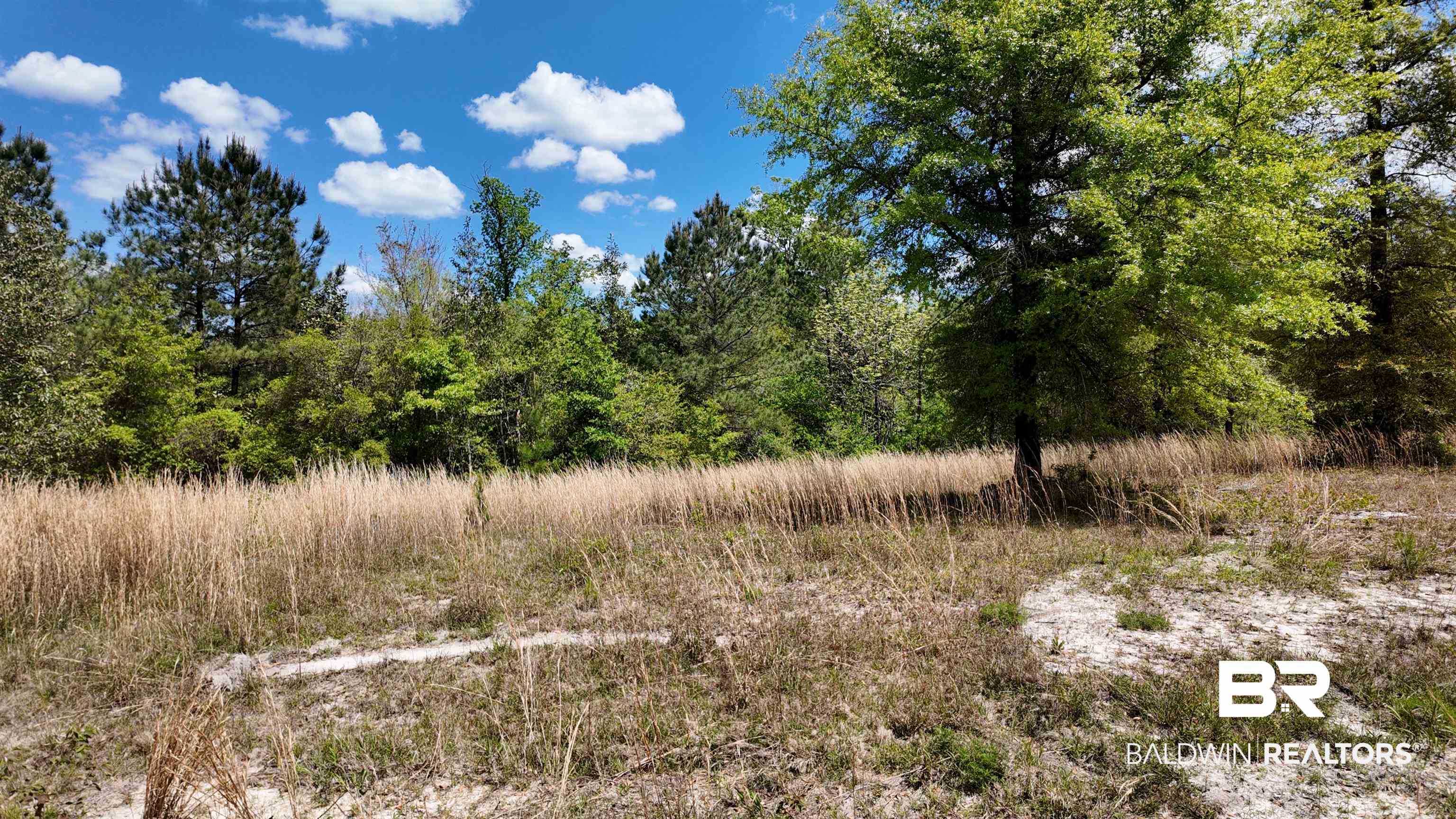 0 Powell Road Eight Mile, AL 36613 - Photo 37 of 57