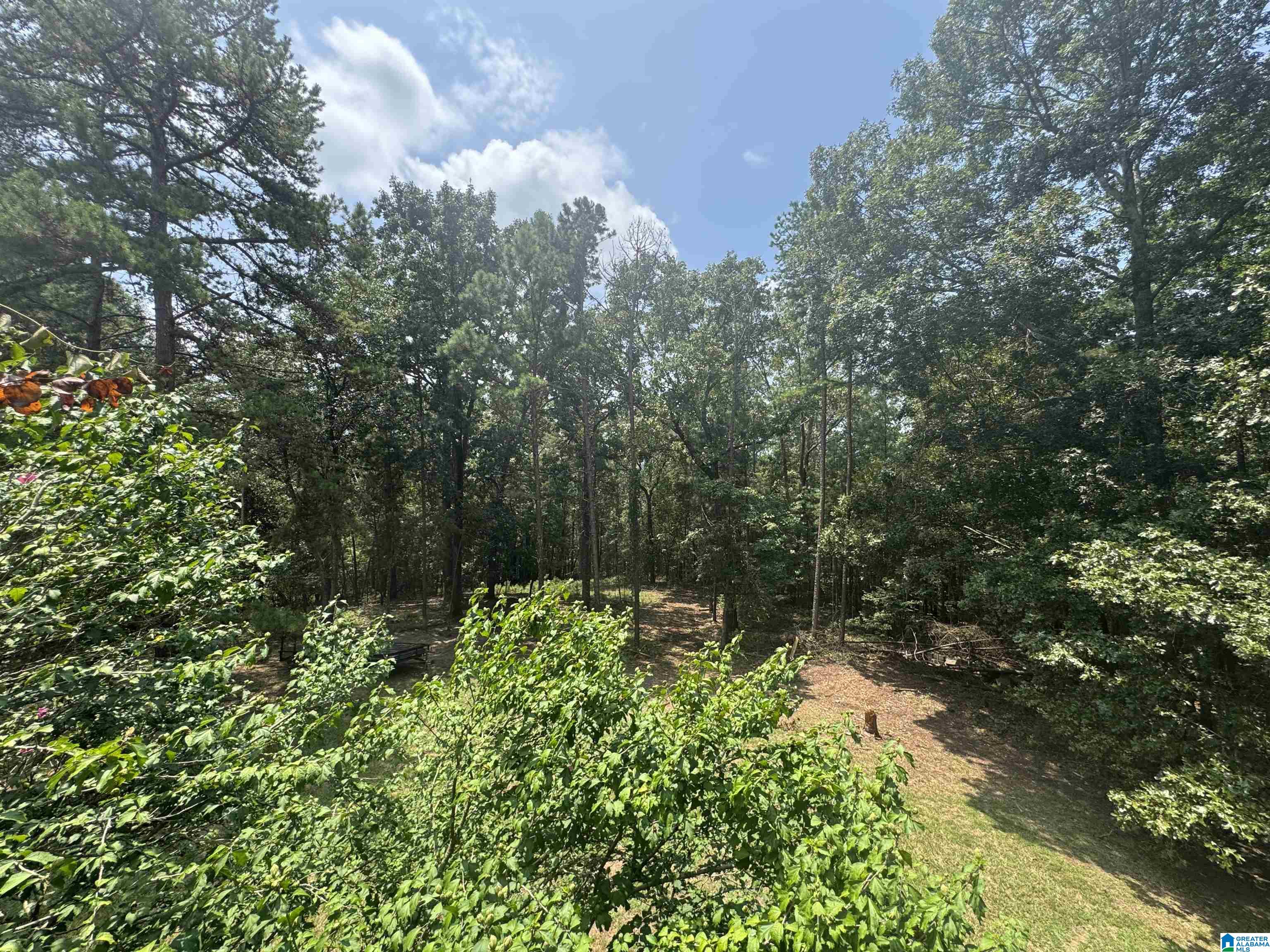305 Stone Ridge Trail North Anniston, AL 36207 - Photo 69 of 72