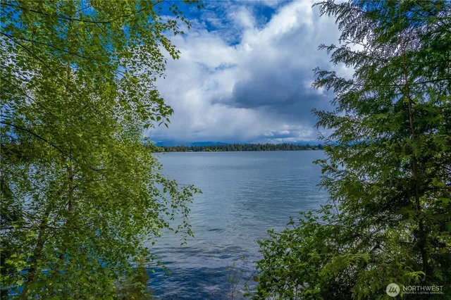 a view of a tennis ground with large trees