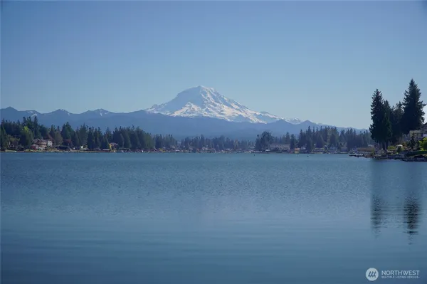 a view of a lake in middle of the forest