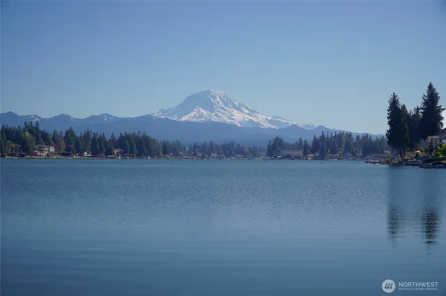 a view of a lake in middle of the forest