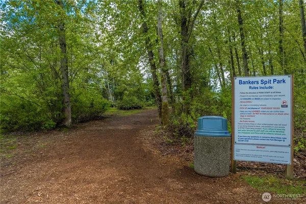a view of a lake from a yard