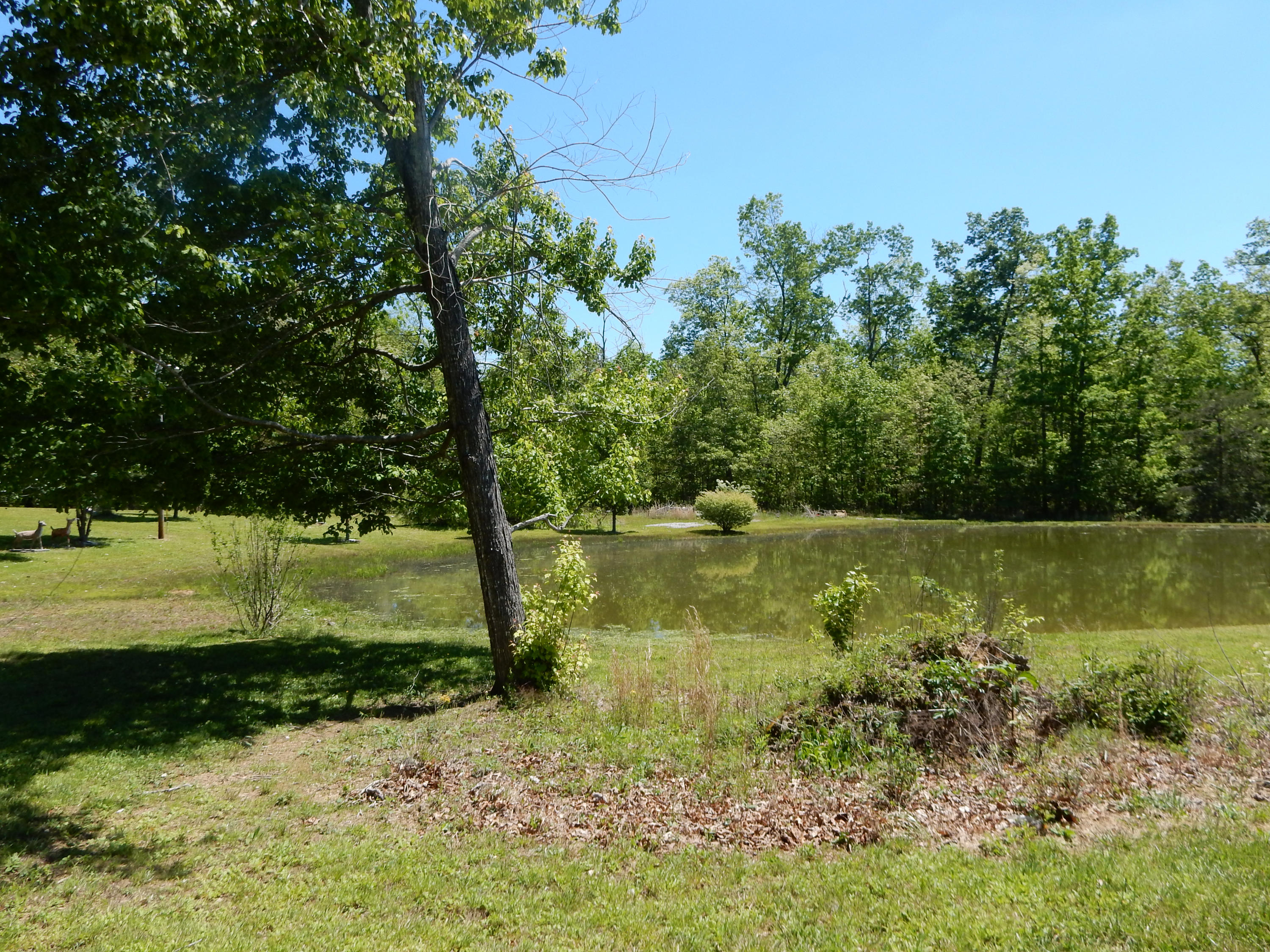 506 Frazier Road Crossville, TN 38572 - Photo 15 of 26 15