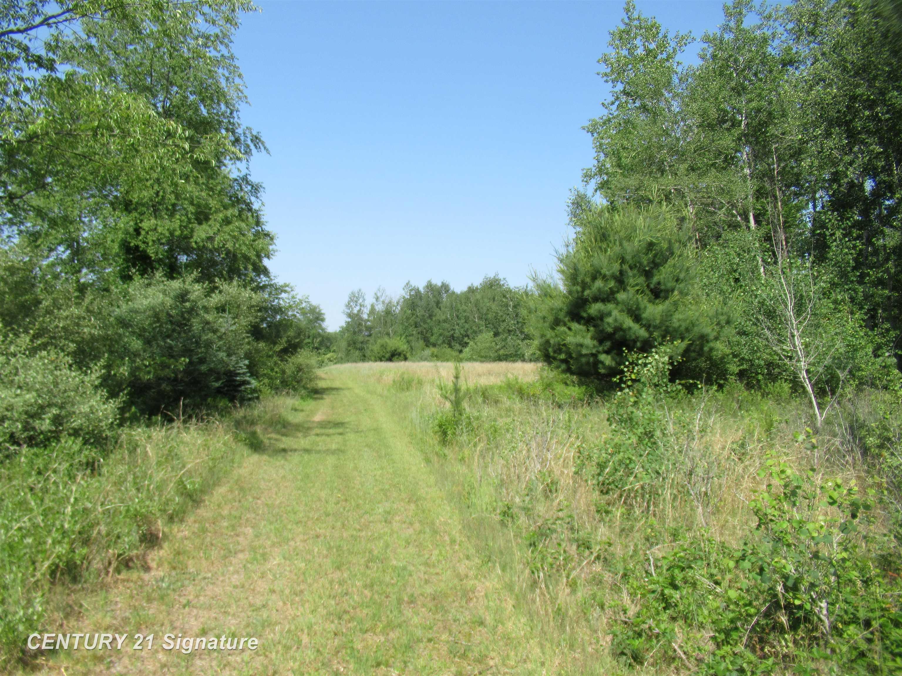 5224 Lobdell Road Mayville, MI 48744 - Photo 31 of 37 Gallery Image 31