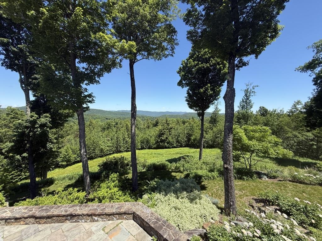816 Black Bear Road Jamaica, VT 05343 - Photo 52 of 59