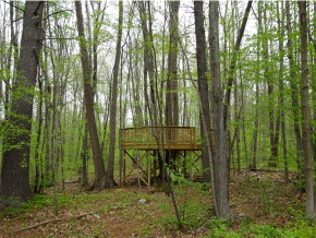 27 Guinea Road Stratham, NH 03885 - Photo 24 of 36