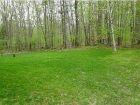 27 Guinea Road Stratham, NH 03885 - Photo 26 of 36