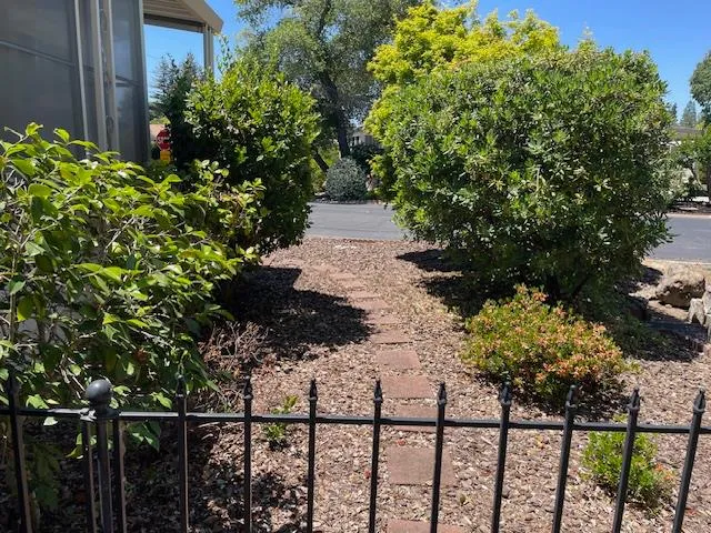 a view of backyard of a house