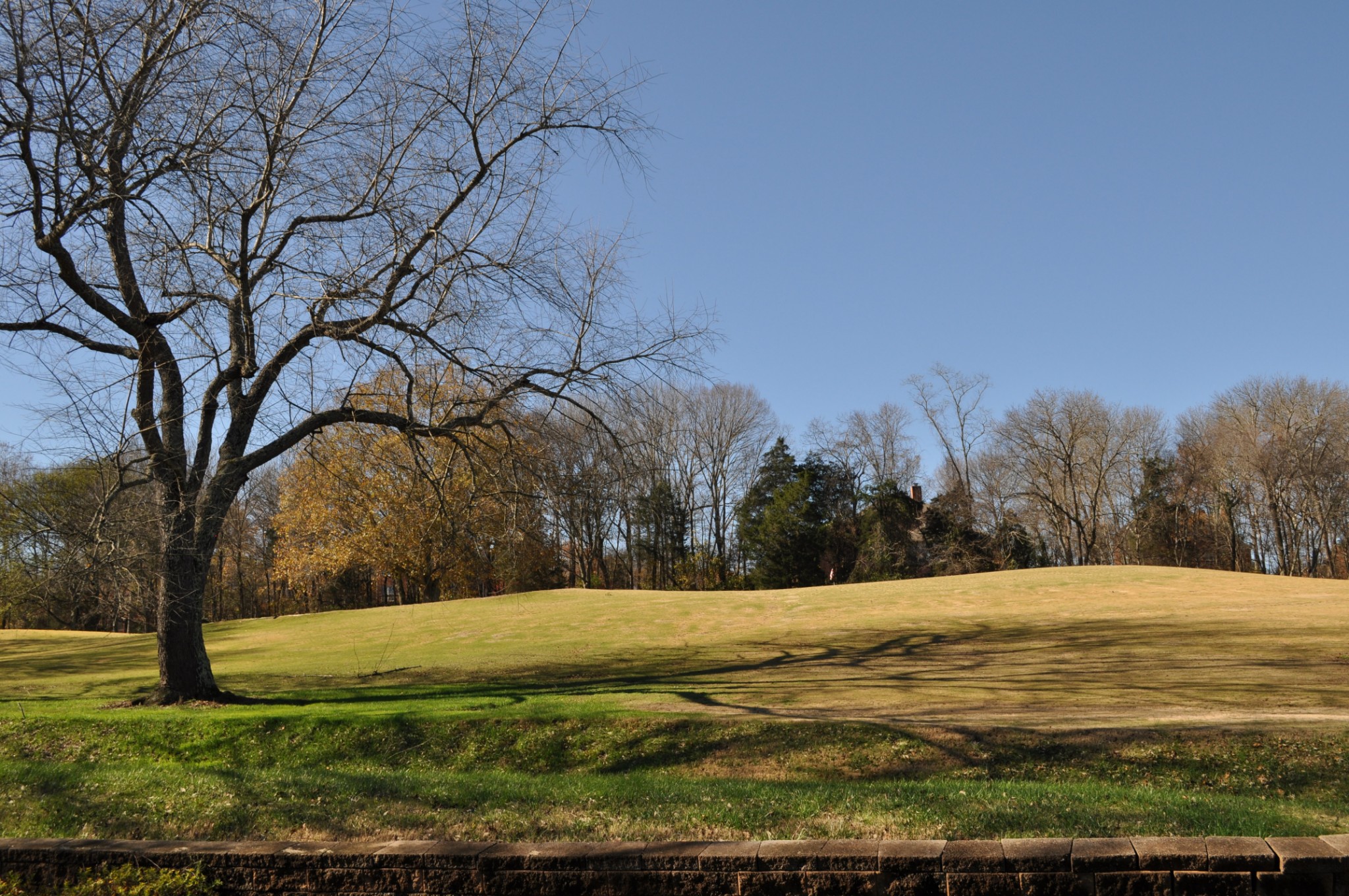 166 Baltusrol Road Franklin, TN 37069 - Photo 21 of 27 Gallery Image 21