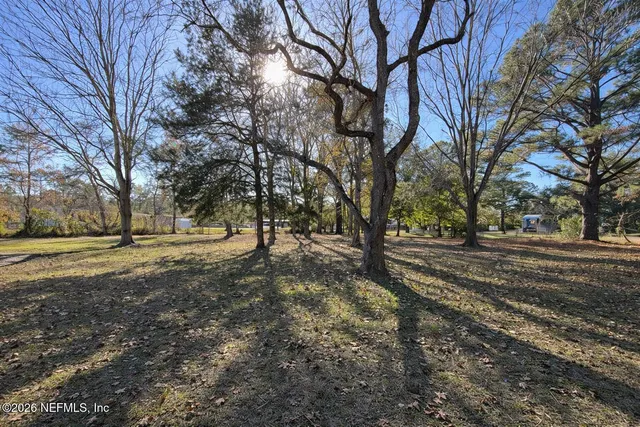 a view of a backyard