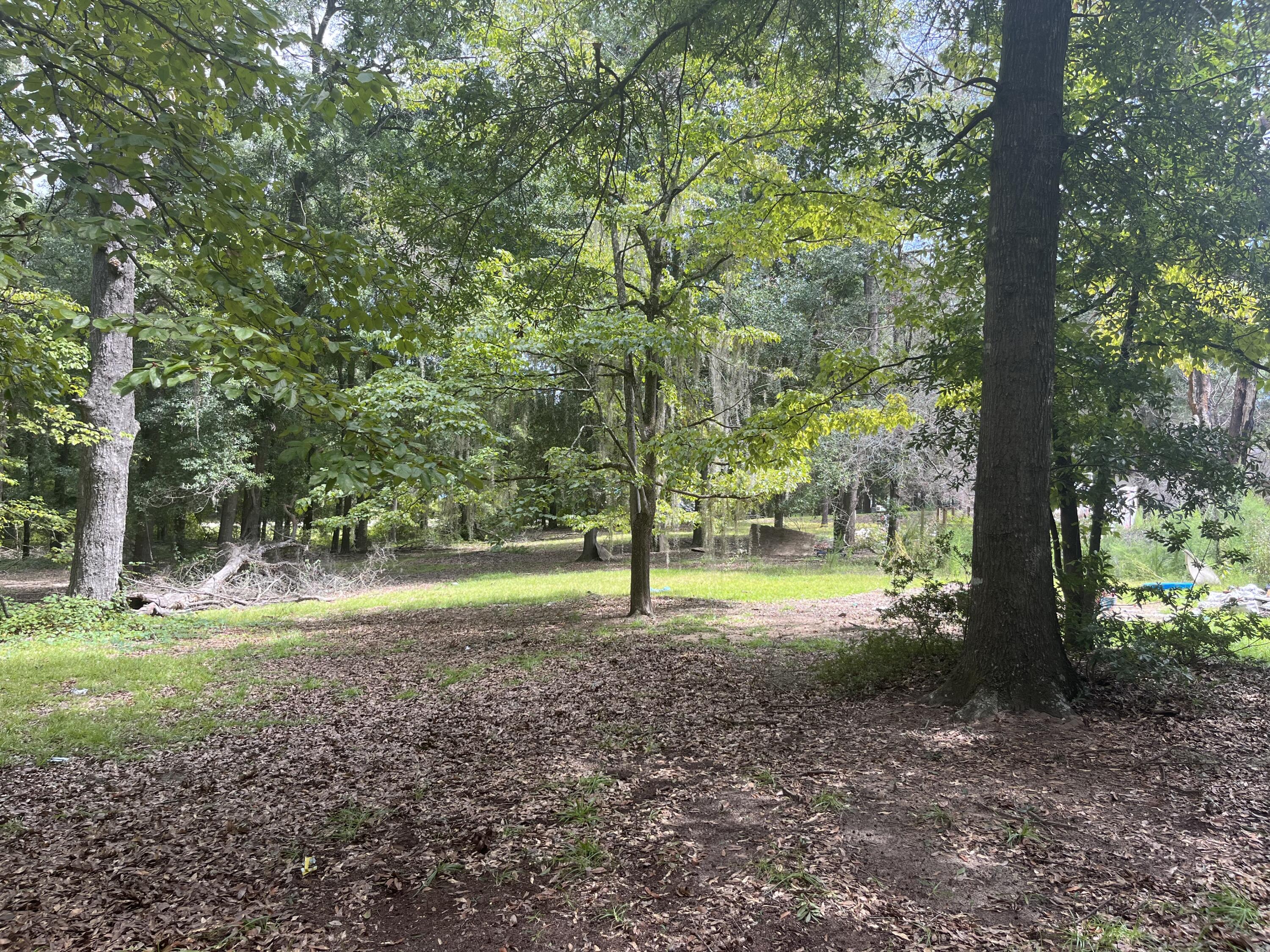 3139 Princess Pond Road Summerton, SC 29148 - Photo 14 of 16 IMG_4546