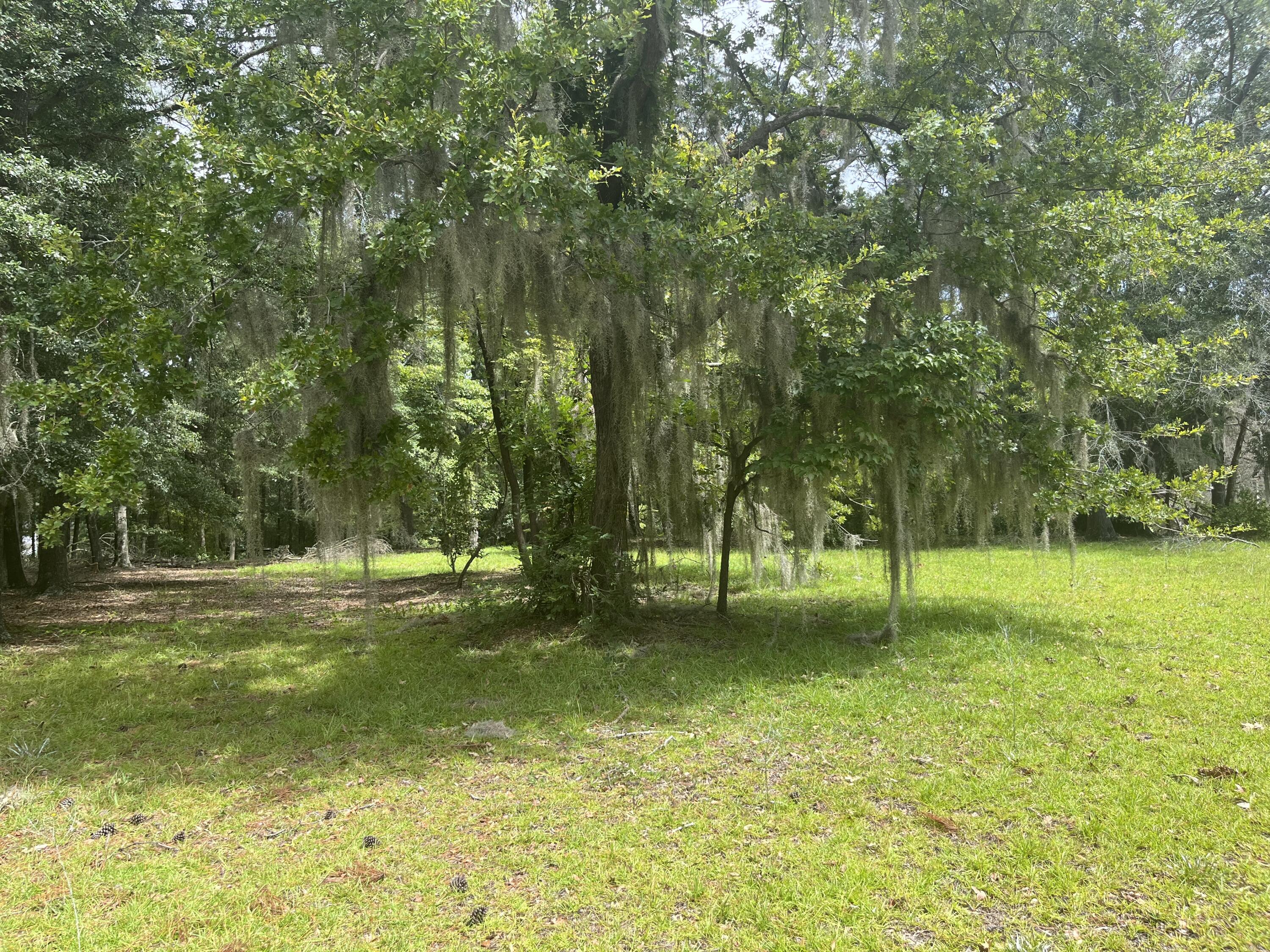 3139 Princess Pond Road Summerton, SC 29148 - Photo 5 of 16 IMG_4536