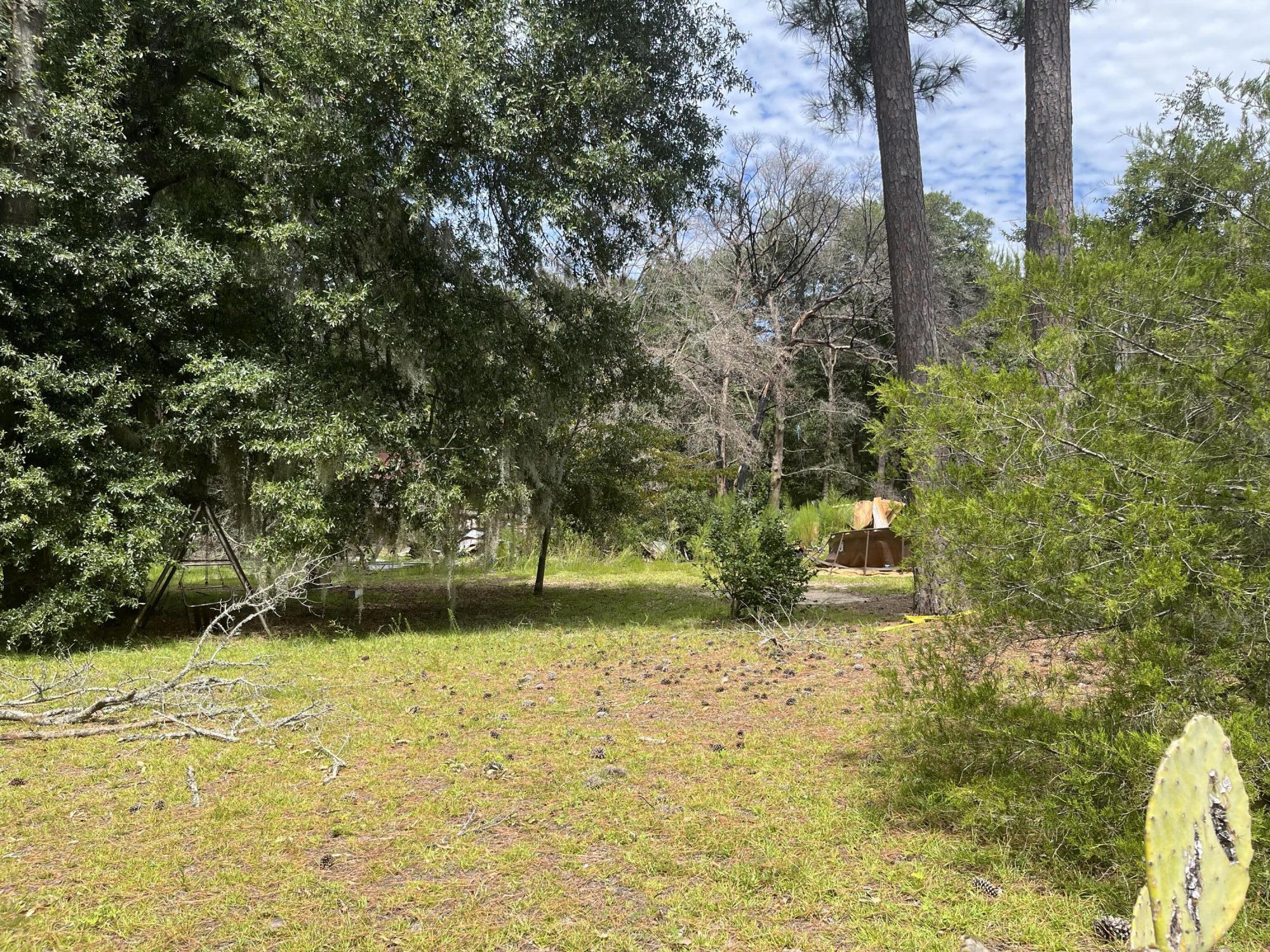 3139 Princess Pond Road Summerton, SC 29148 - Photo 8 of 16 IMG_4522
