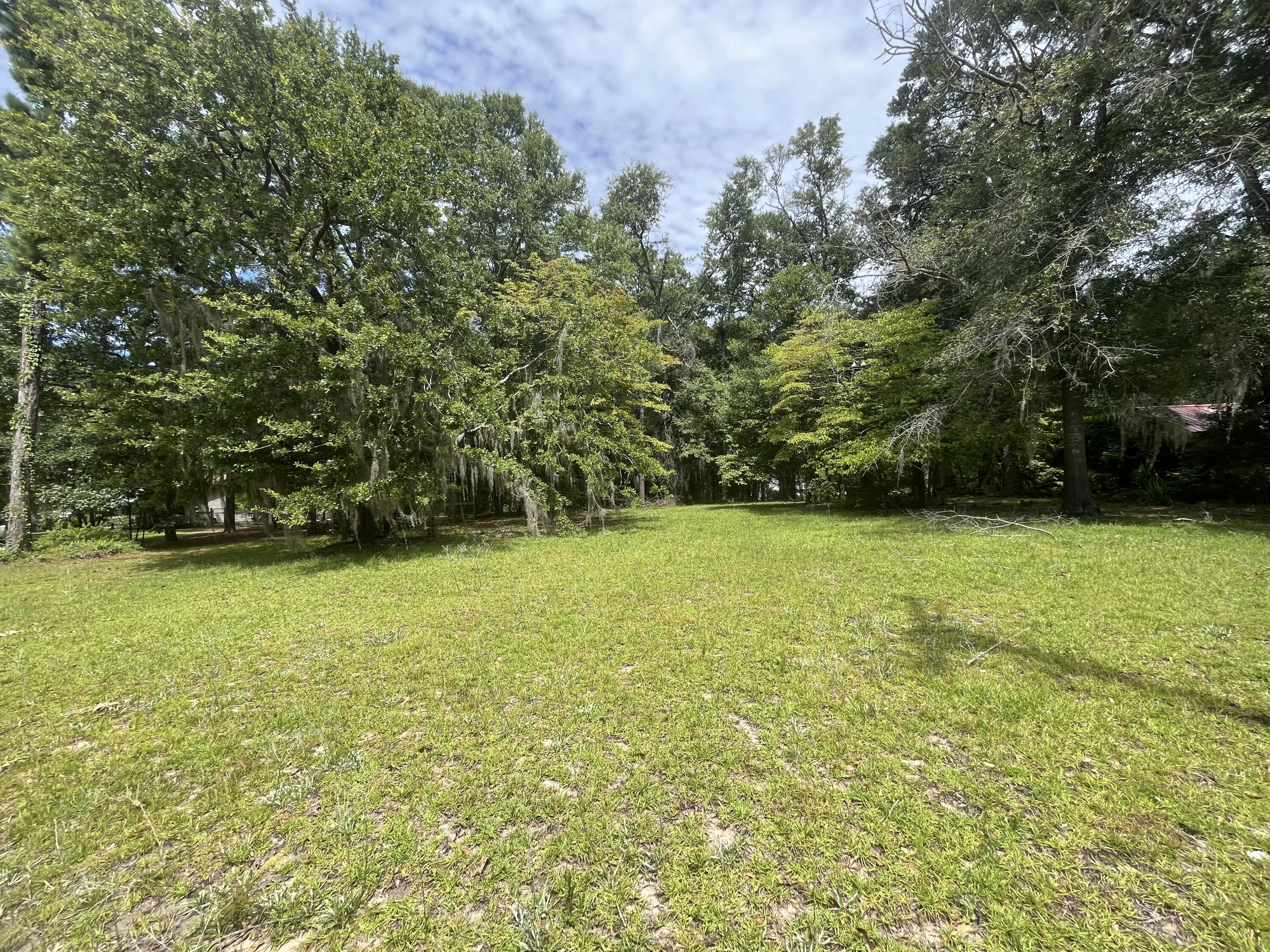 3139 Princess Pond Road Summerton, SC 29148 - Photo 10 of 16 IMG_4528