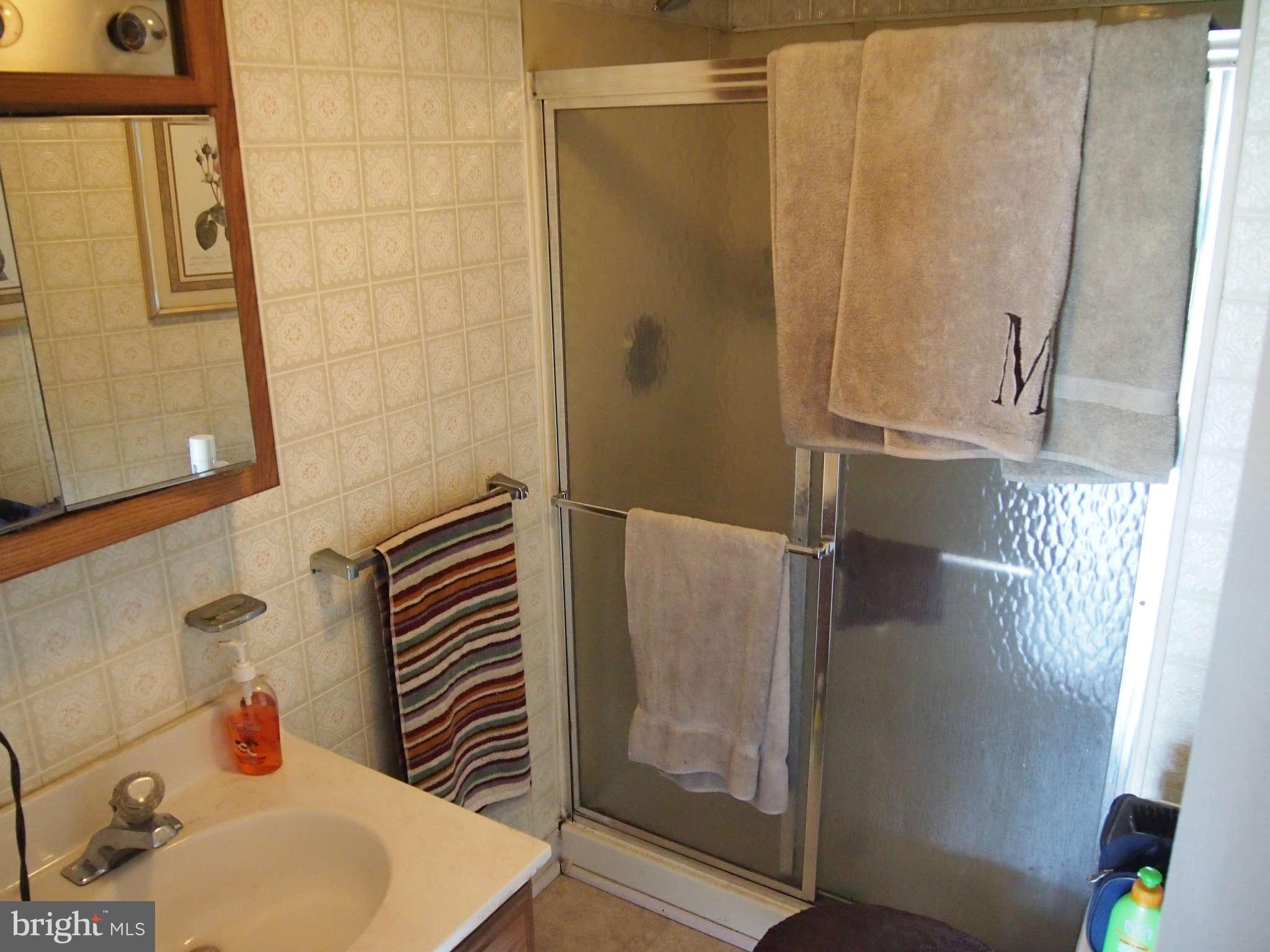 319 Holly Manor Road Baltimore, MD 21228 - Photo 12 of 17 a bathroom with a sink and mirror