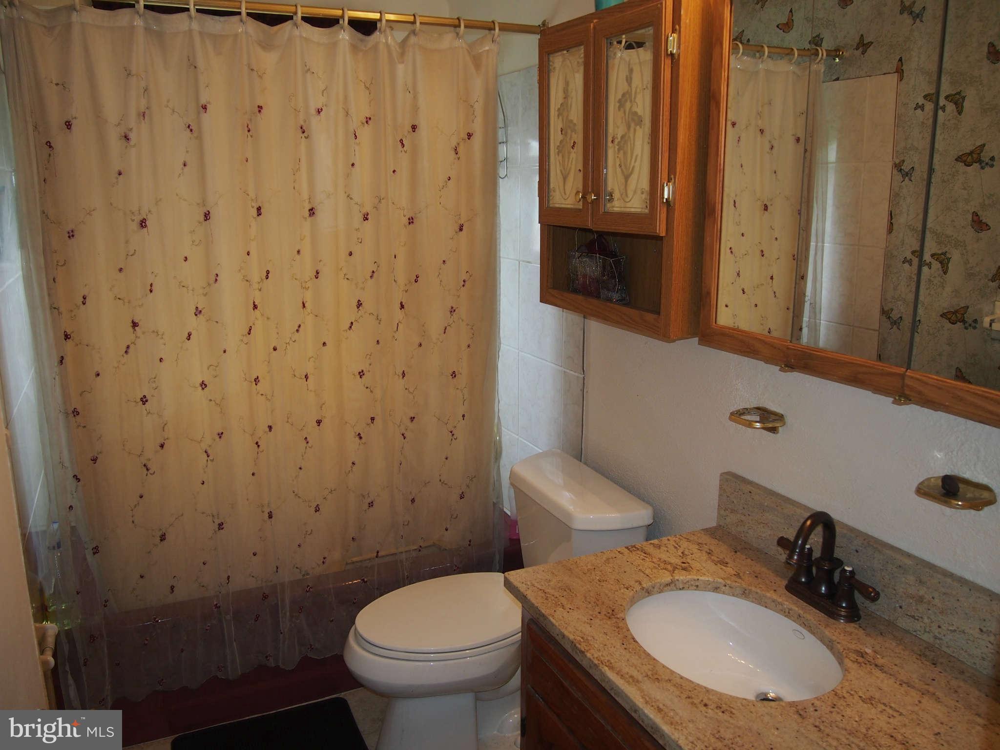 319 Holly Manor Road Baltimore, MD 21228 - Photo 10 of 17 a bathroom with a granite countertop toilet and a sink