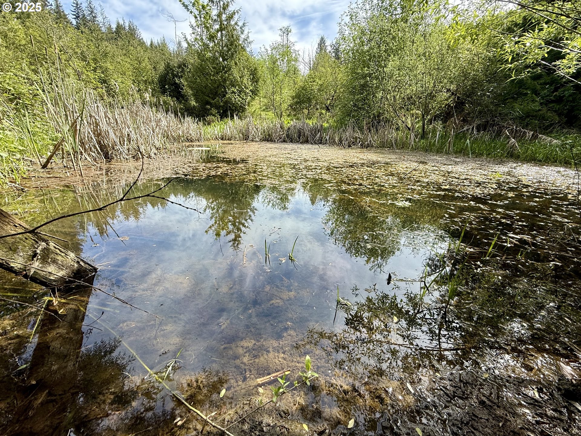 Southeast Clausen Road Estacada, OR 97023 - Photo 11 of 14