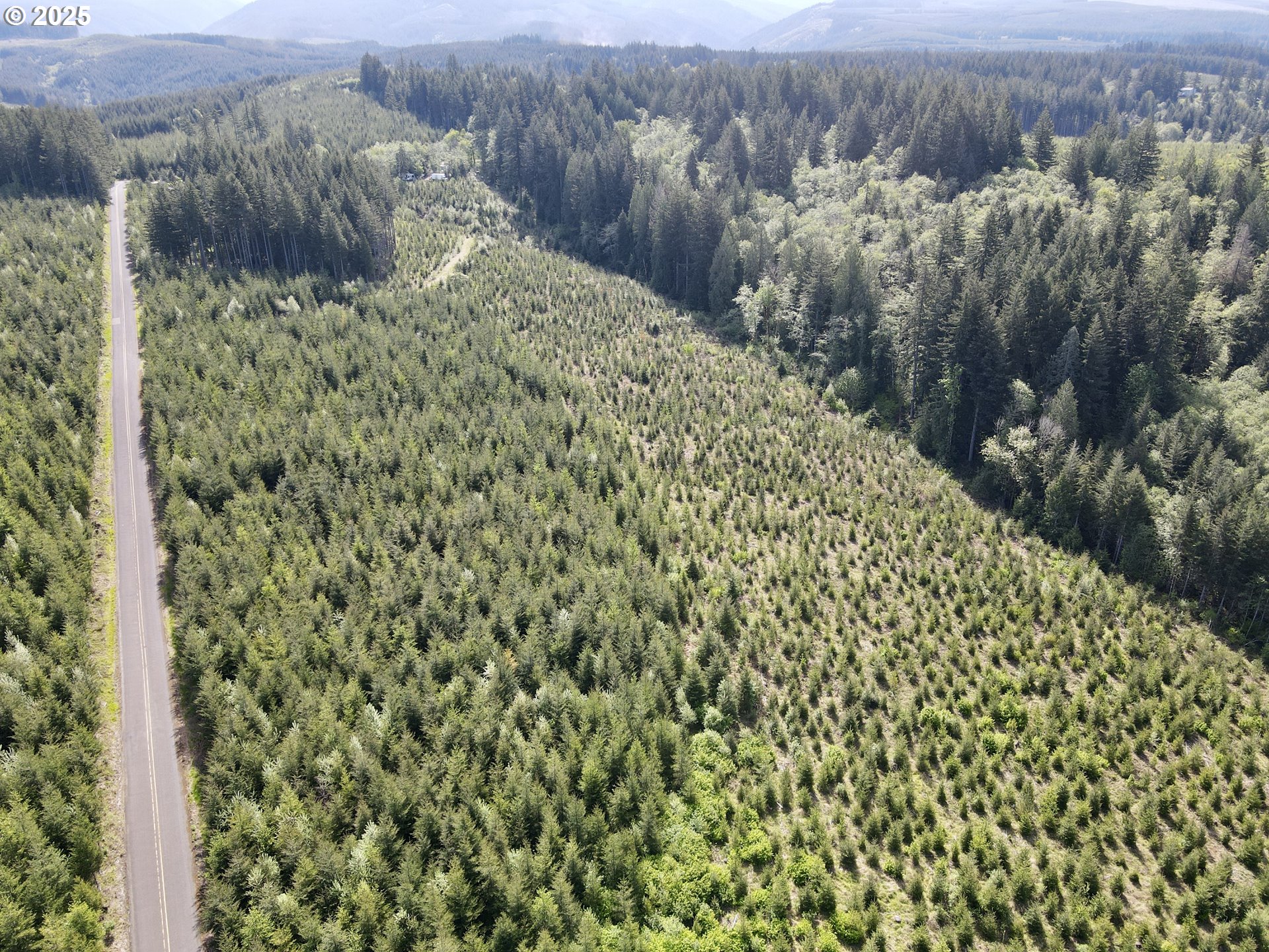Southeast Clausen Road Estacada, OR 97023 - Photo 2 of 14 a view of a yard