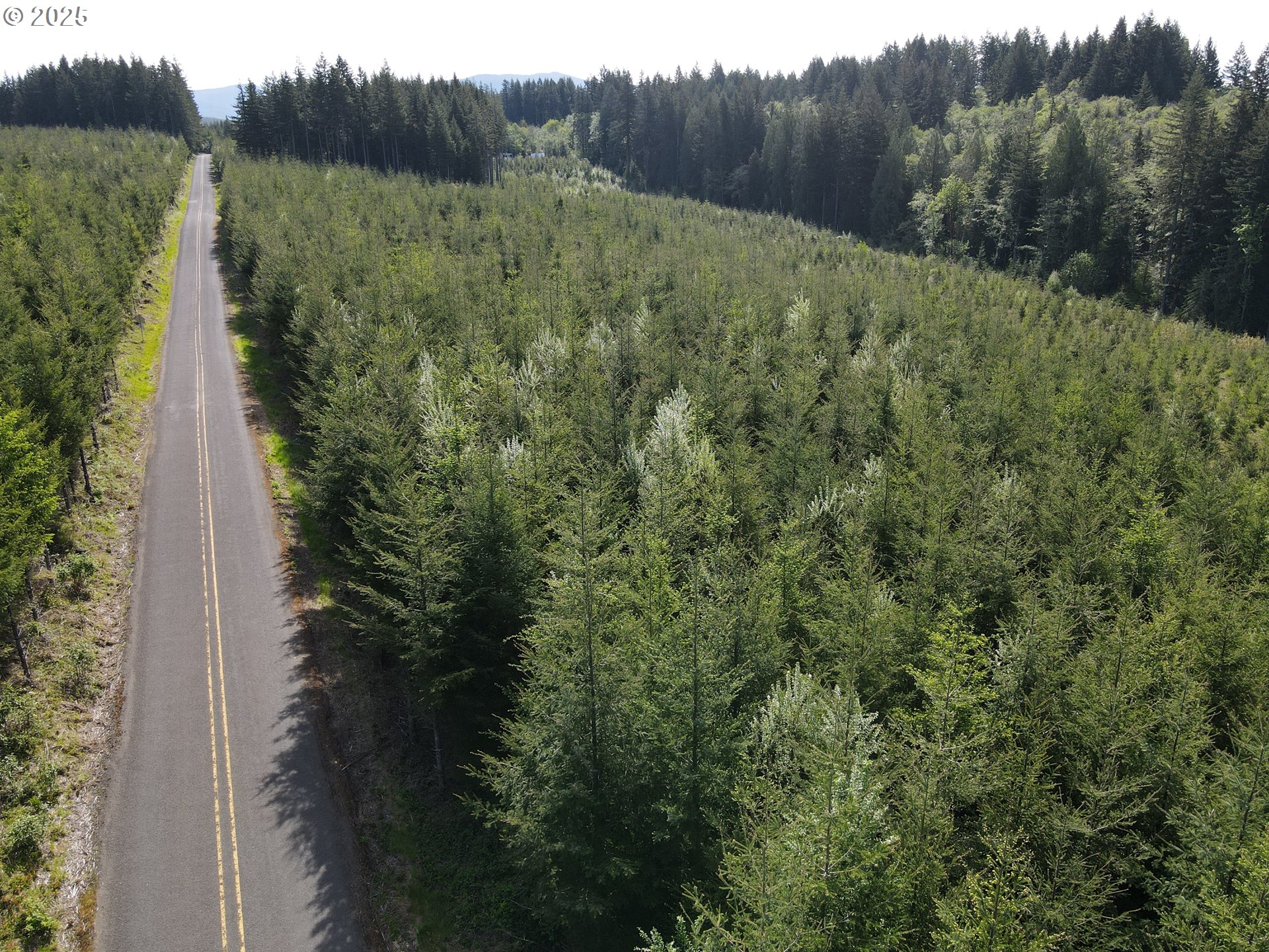 Southeast Clausen Road Estacada, OR 97023 - Photo 3 of 14 a view of a lush green forest with a house