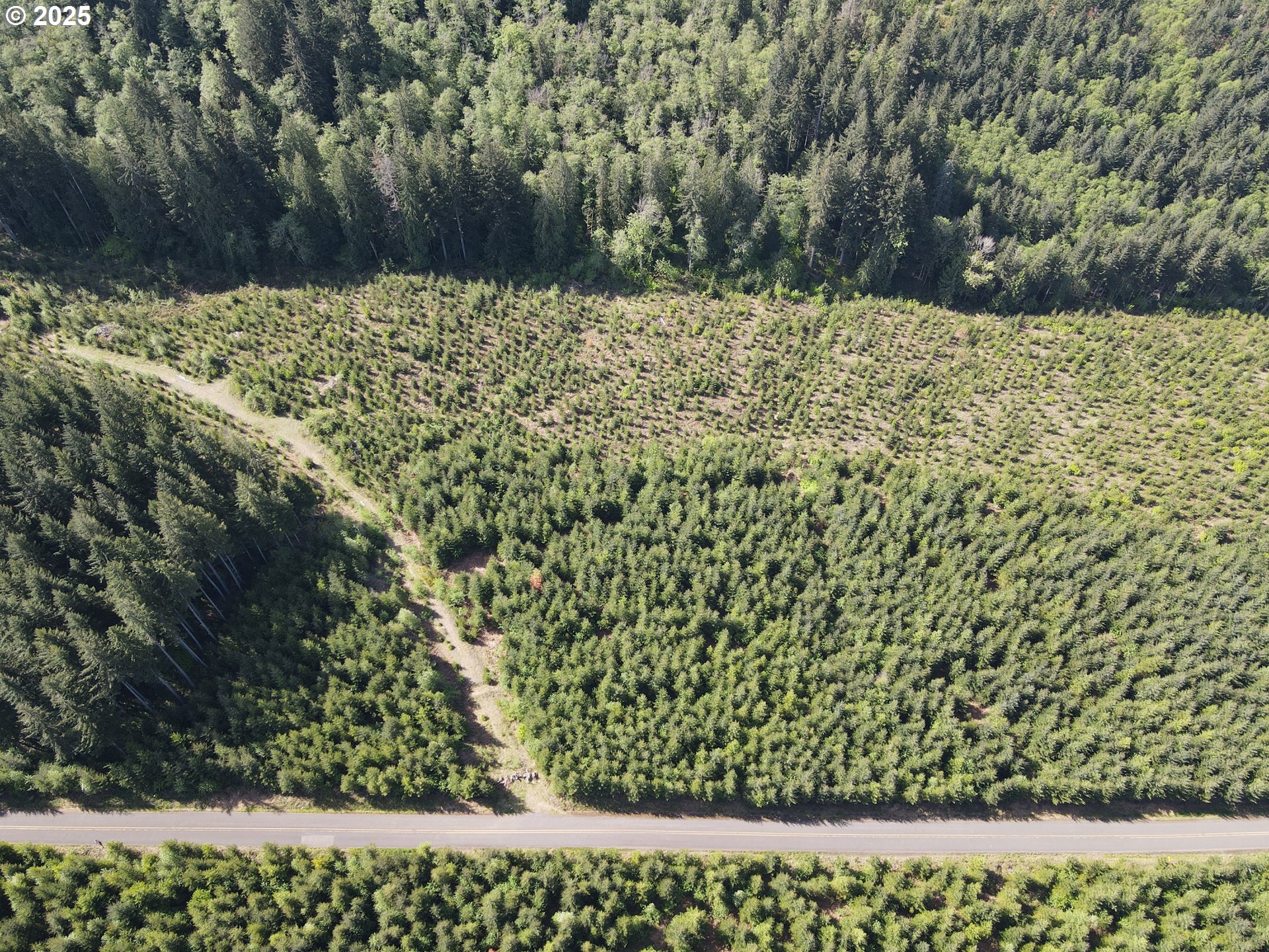 Southeast Clausen Road Estacada, OR 97023 - Photo 4 of 14 a view of a yard