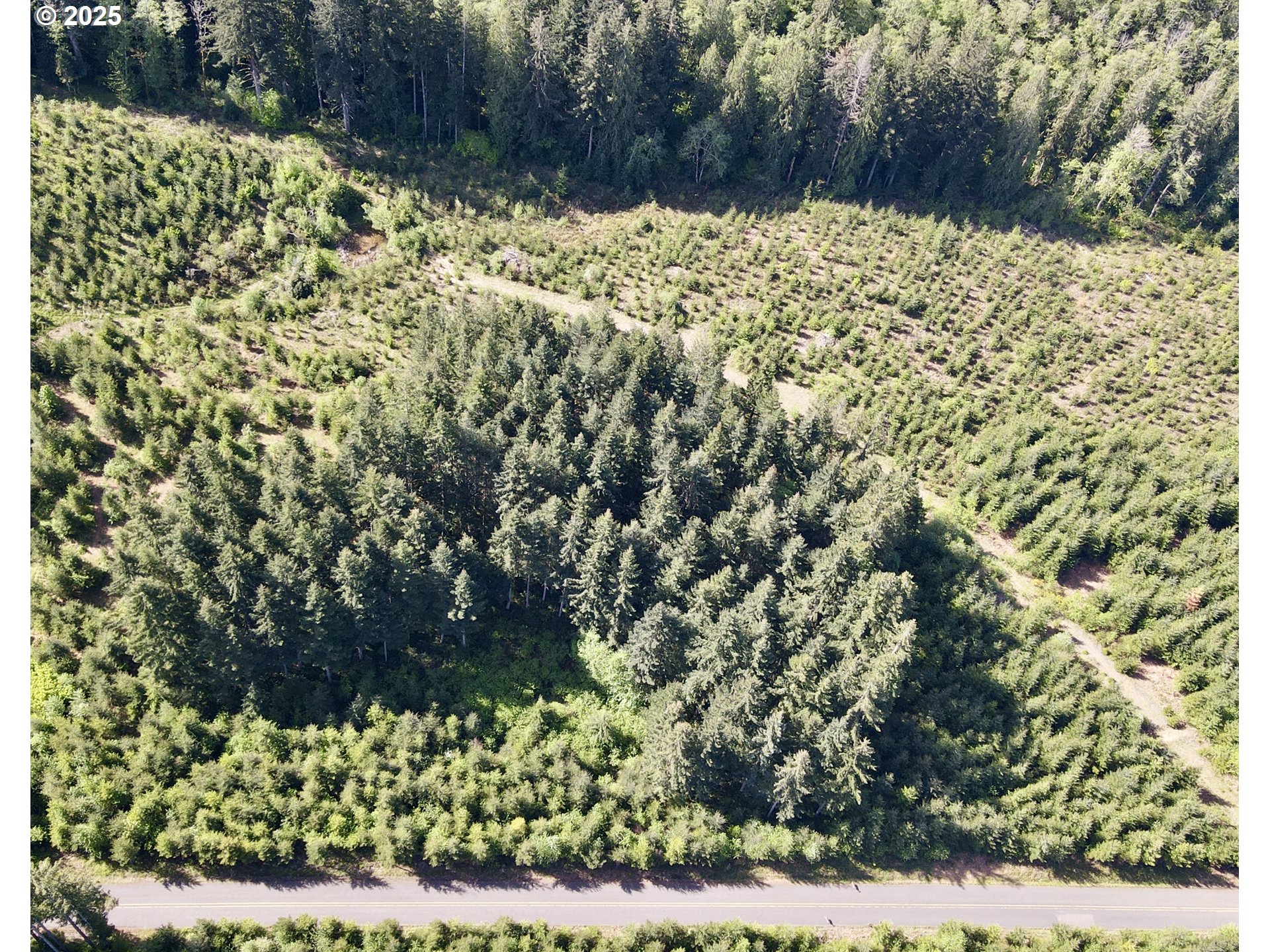 Southeast Clausen Road Estacada, OR 97023 - Photo 5 of 14 a view of a yard