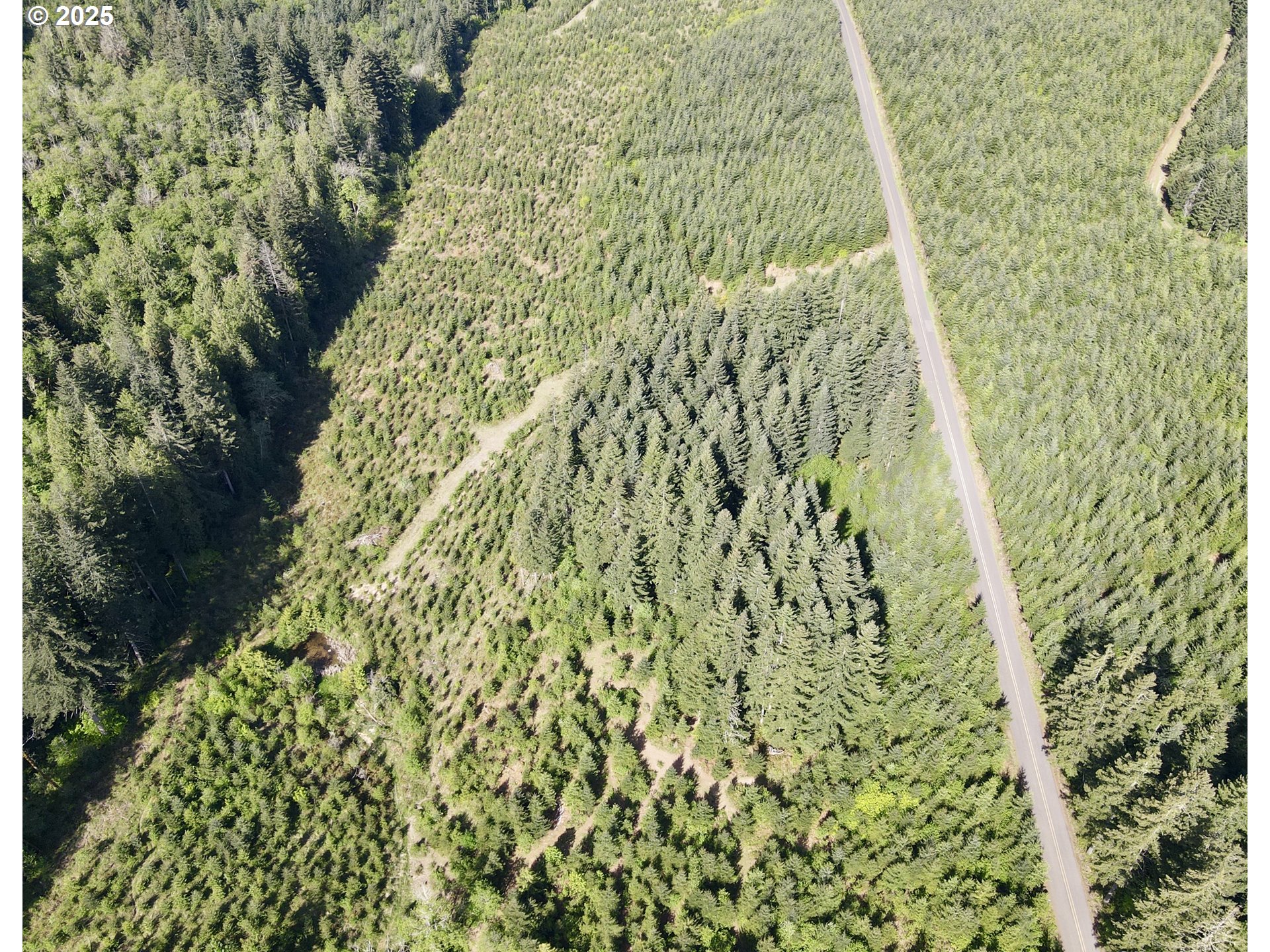 Southeast Clausen Road Estacada, OR 97023 - Photo 6 of 14