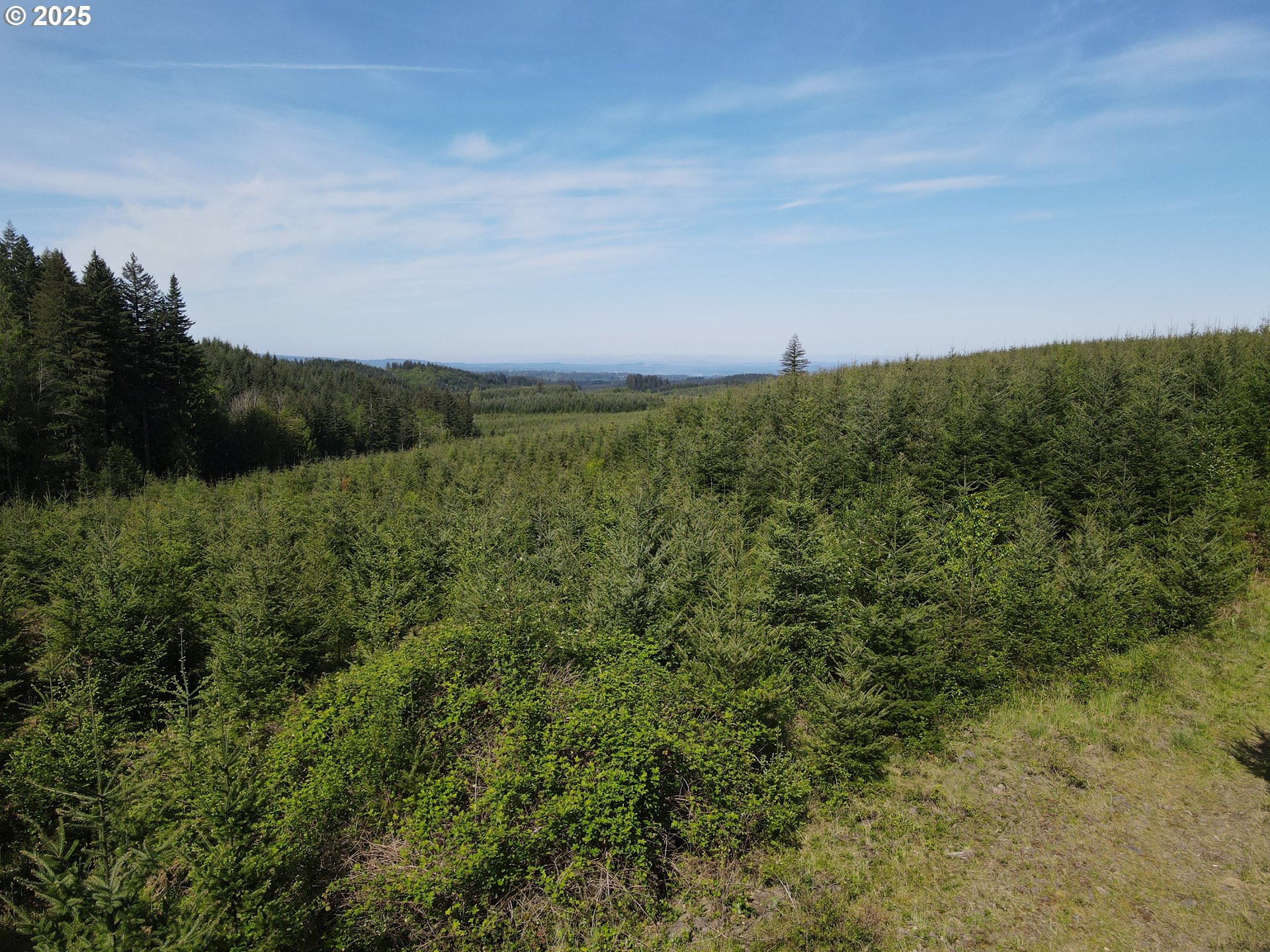 Southeast Clausen Road Estacada, OR 97023 - Photo 7 of 14 a view of a field of grass and trees