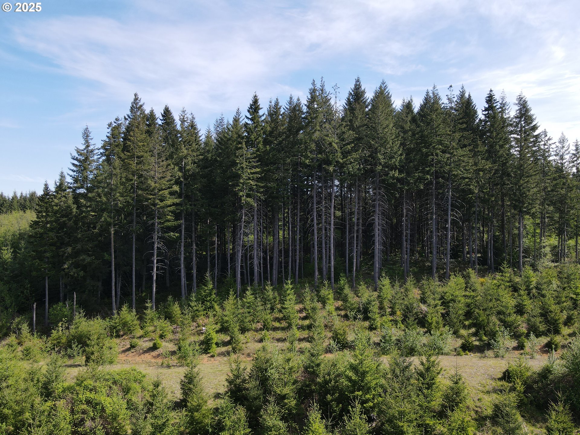 Southeast Clausen Road Estacada, OR 97023 - Photo 8 of 14 a view of backyard with green space