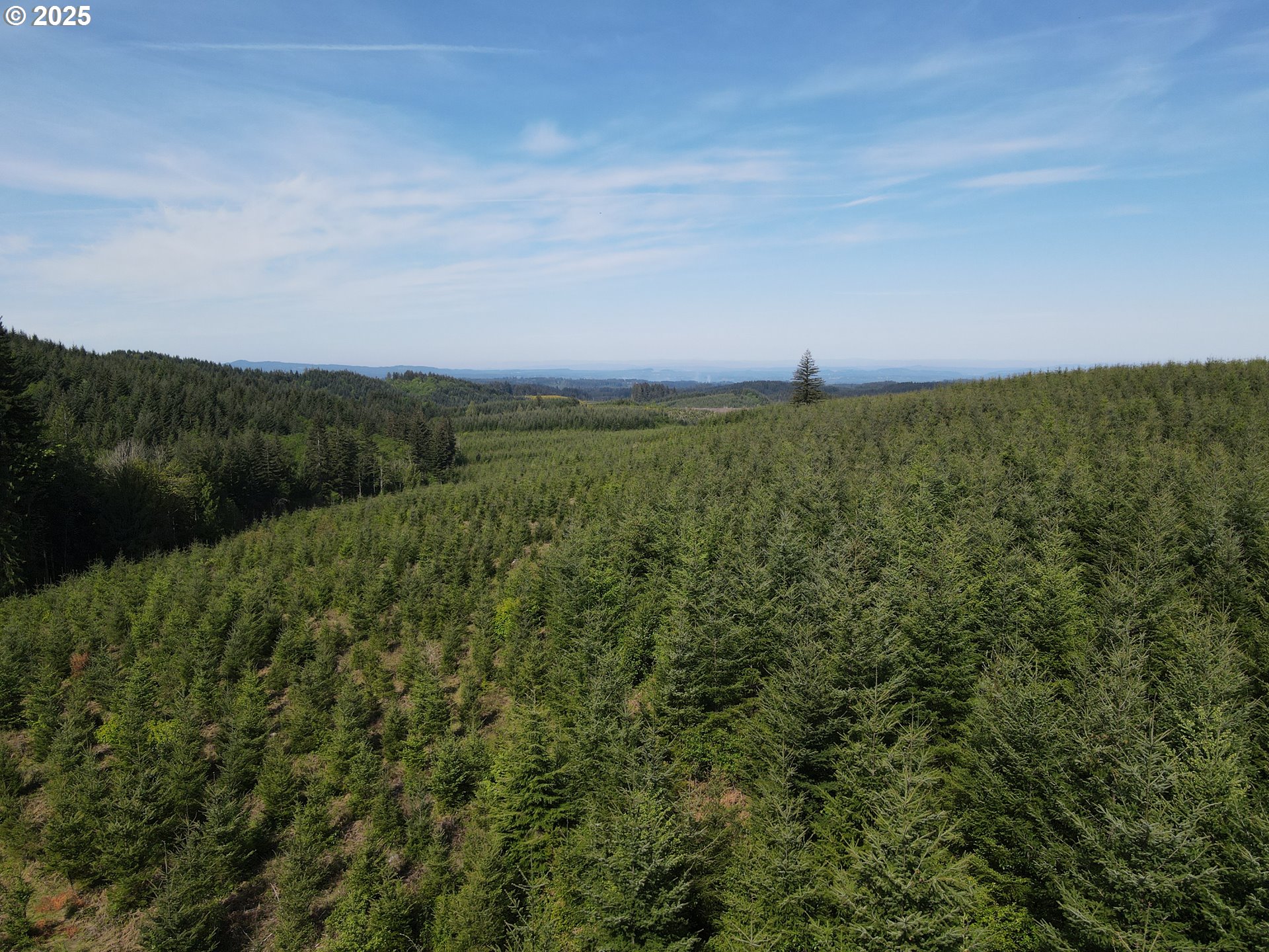 Southeast Clausen Road Estacada, OR 97023 - Photo 9 of 14 a view of a green field with lots of bushes