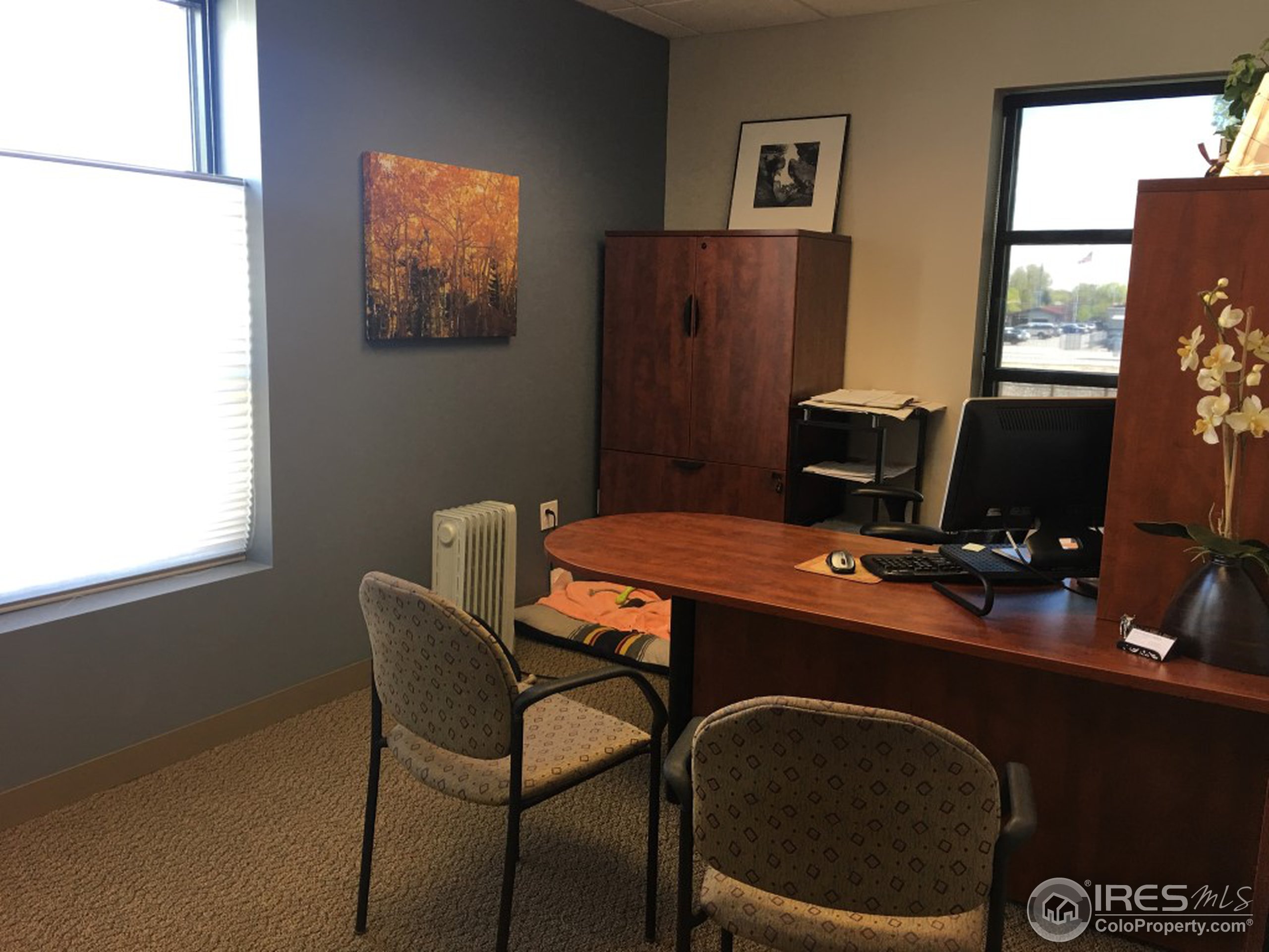 323 West Drake Road, Unit 204 Fort Collins, CO 80526 - Photo 10 of 10 Gallery Image 10