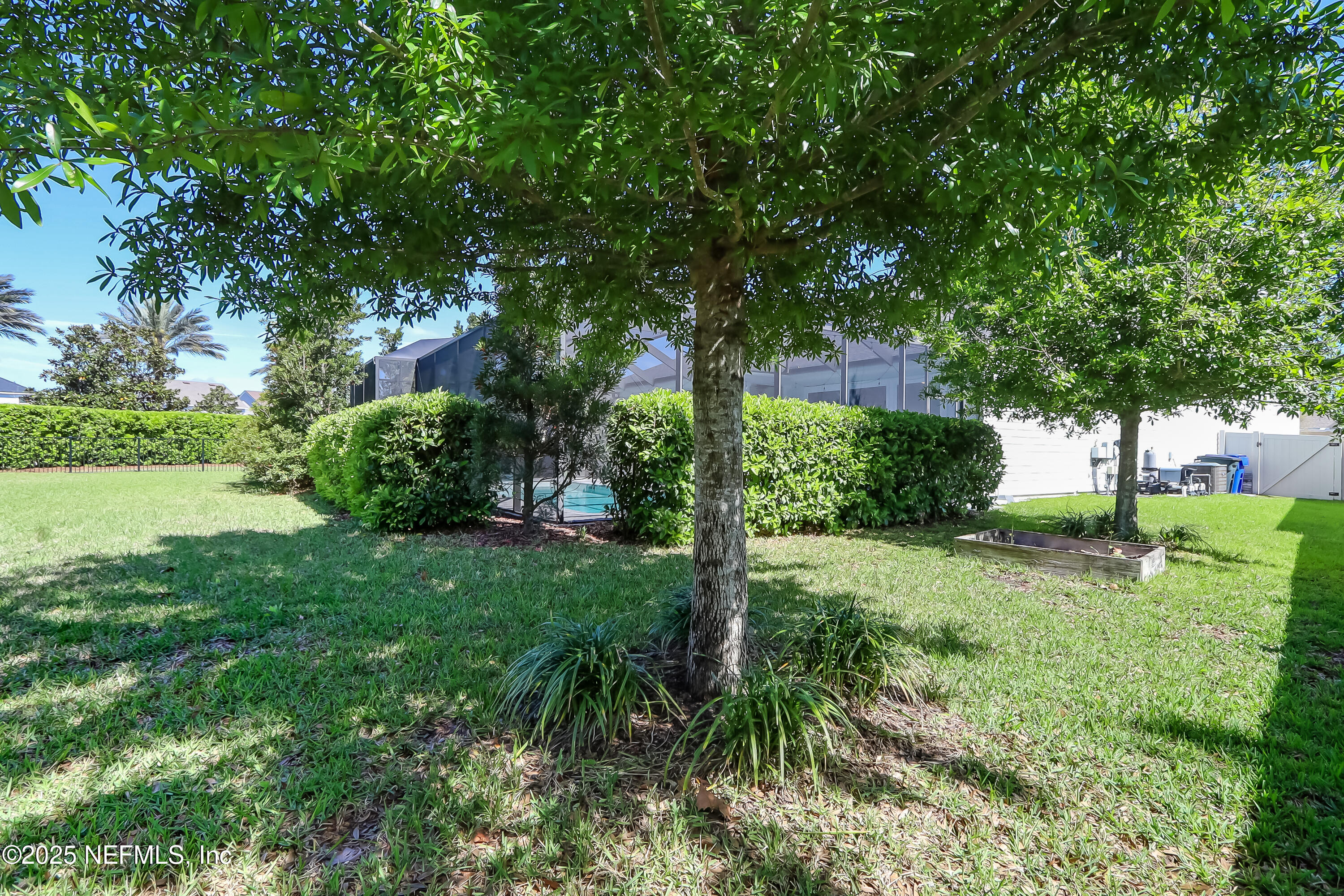 385 Daniel Park Circle Ponte Vedra, FL 32081 - Photo 34 of 34 a view of a backyard with large trees