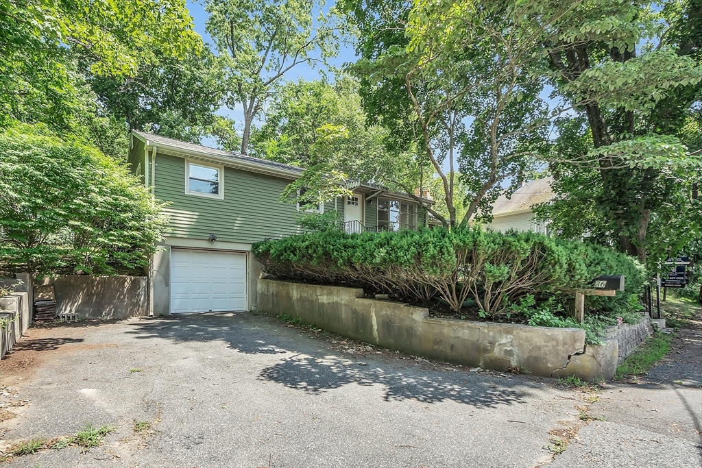 36 Mill Street Maynard, MA 01754 - Photo 38 of 42 a view of a house with a yard and large tree