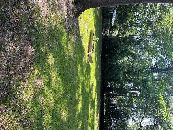 a view of a yard from a balcony