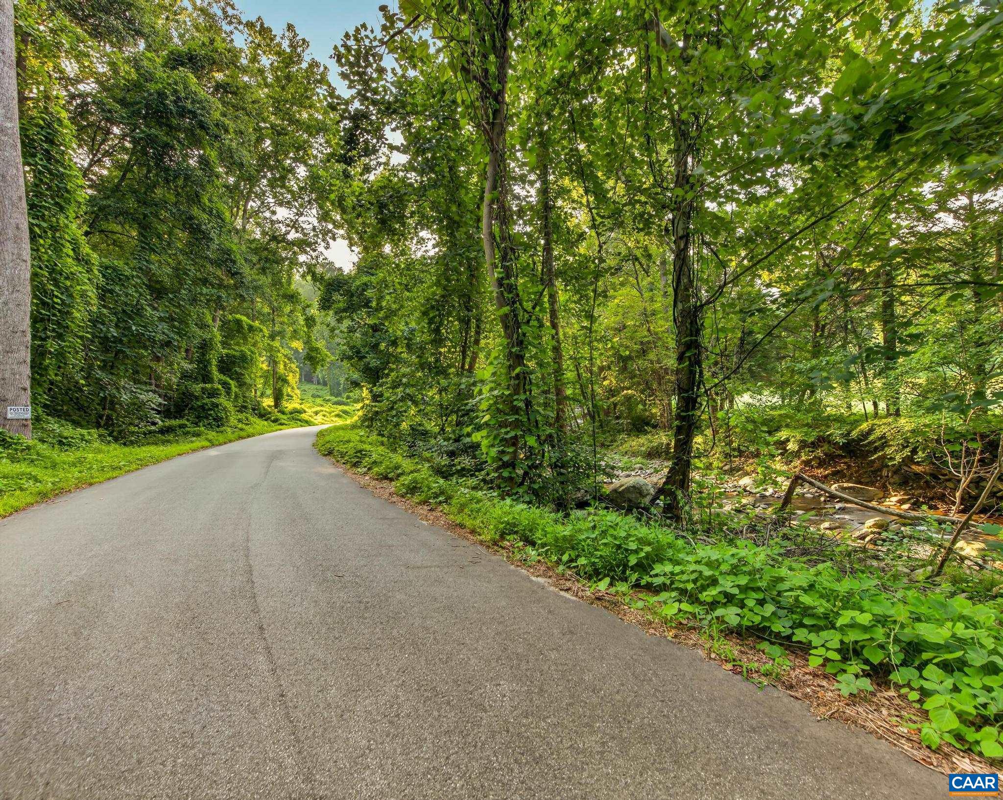 329 Jones Mountain Road Madison, VA 22727 - Photo 39 of 47