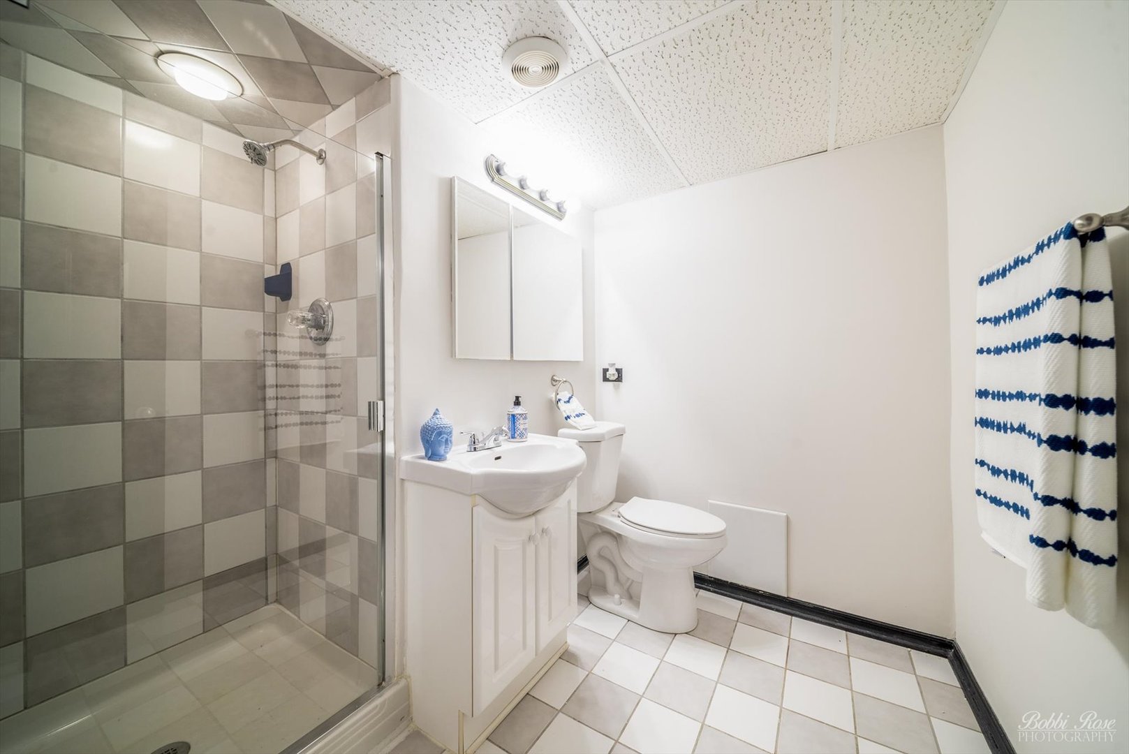 116 South Prospect Street Wheaton, IL 60187 - Photo 14 of 24 Gallery Image 14