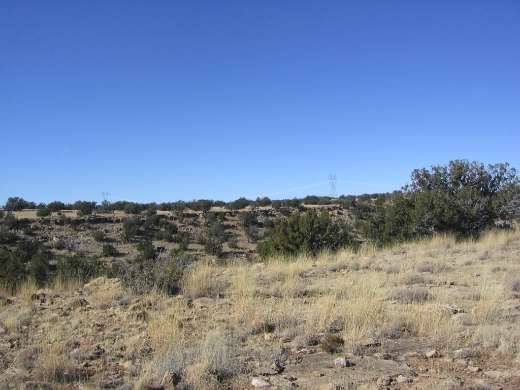 Lot 121 Chevelon Canyon Ranch Heber, AZ 85928 - Photo 11 of 14