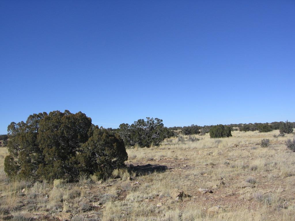 Lot 121 Chevelon Canyon Ranch Heber, AZ 85928 - Photo 13 of 14