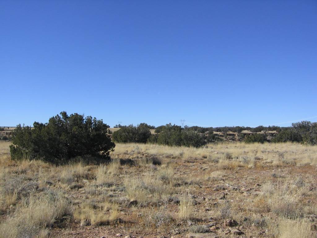 Lot 121 Chevelon Canyon Ranch Heber, AZ 85928 - Photo 14 of 14