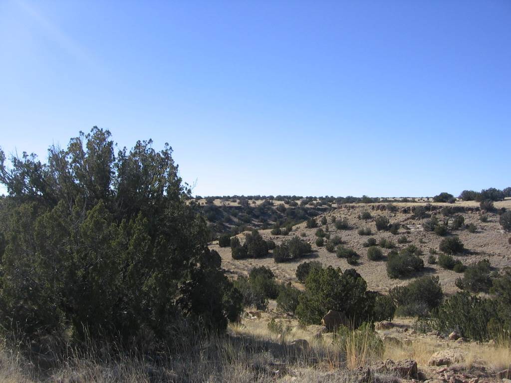 Lot 121 Chevelon Canyon Ranch Heber, AZ 85928 - Photo 2 of 14