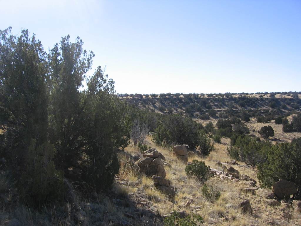 Lot 121 Chevelon Canyon Ranch Heber, AZ 85928 - Photo 3 of 14