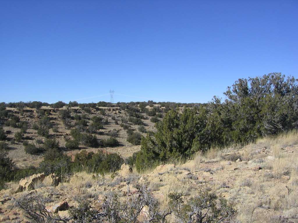 Lot 121 Chevelon Canyon Ranch Heber, AZ 85928 - Photo 4 of 14