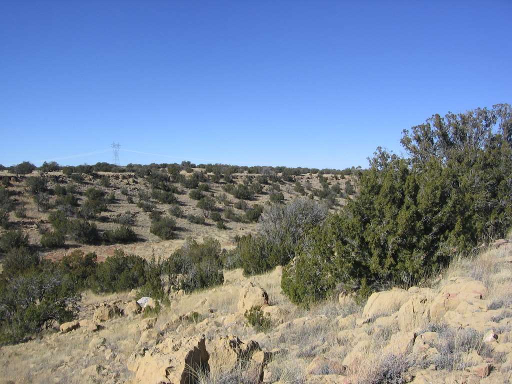 Lot 121 Chevelon Canyon Ranch Heber, AZ 85928 - Photo 5 of 14