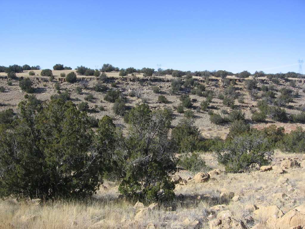 Lot 121 Chevelon Canyon Ranch Heber, AZ 85928 - Photo 6 of 14