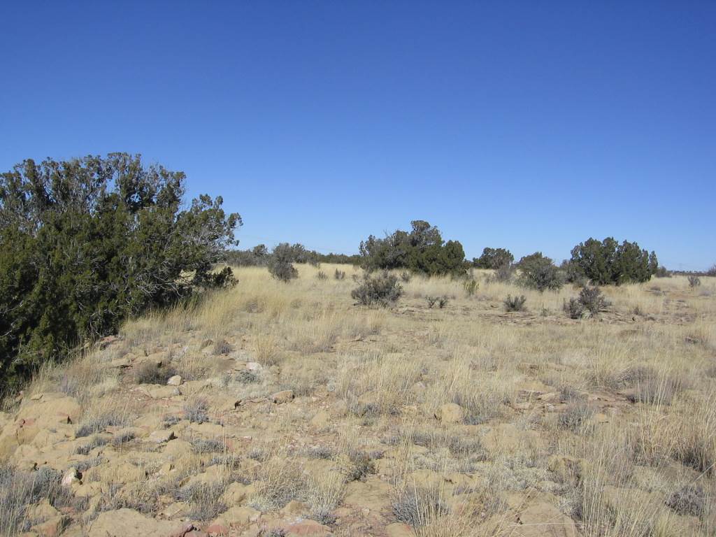 Lot 121 Chevelon Canyon Ranch Heber, AZ 85928 - Photo 7 of 14