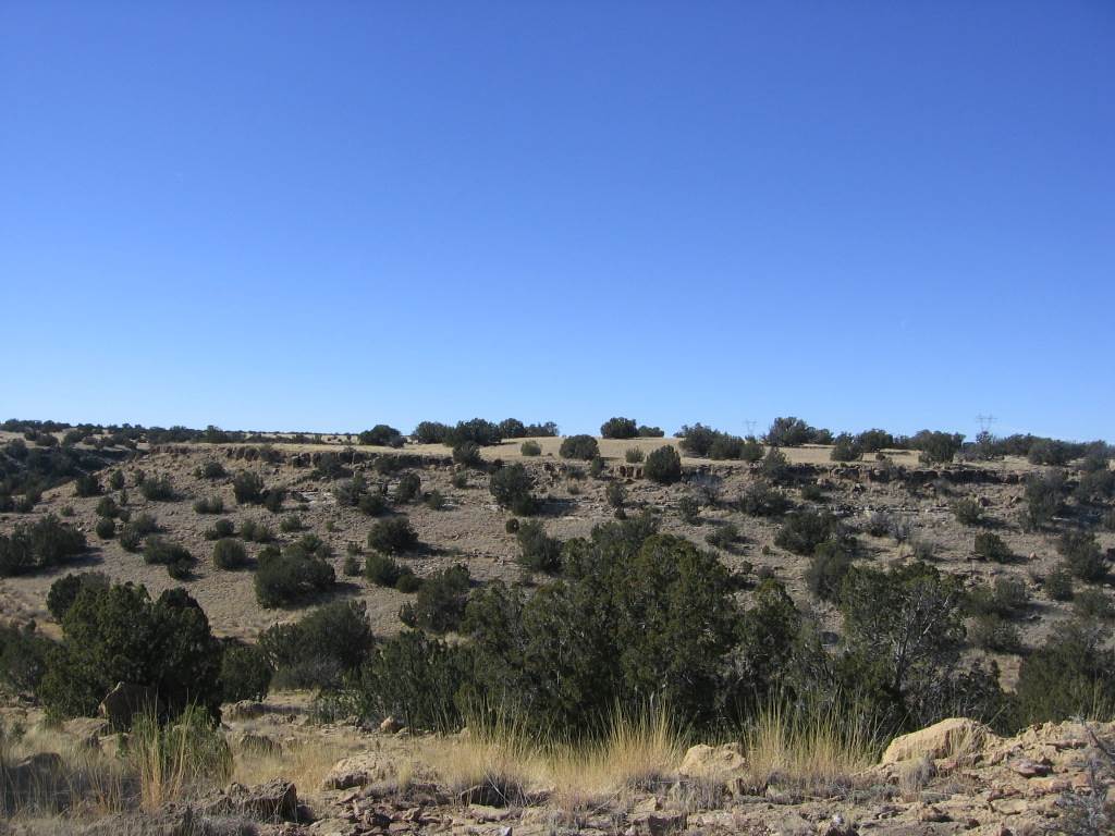 Lot 121 Chevelon Canyon Ranch Heber, AZ 85928 - Photo 8 of 14