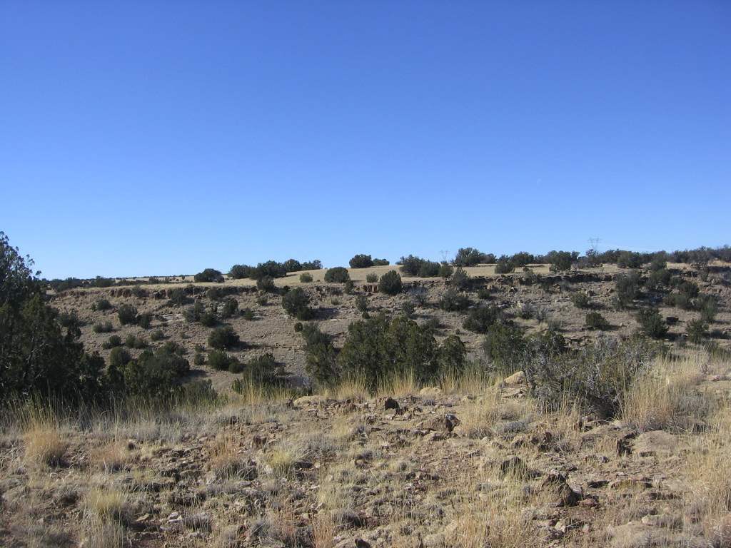 Lot 121 Chevelon Canyon Ranch Heber, AZ 85928 - Photo 9 of 14